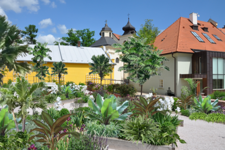 Jak bude tropická bylinkovka vypadat