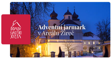 310682239_517875010343583_2106442646762801994_n